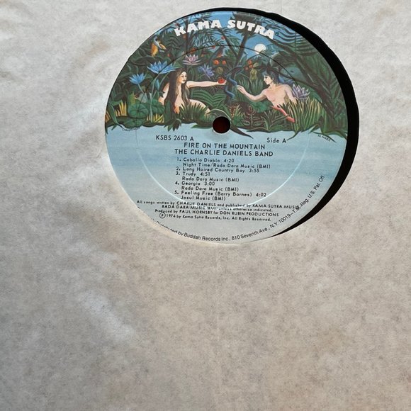 Charlie Daniels Band “Fire on the Mountain” vinyl LP - Picture 16 of 16